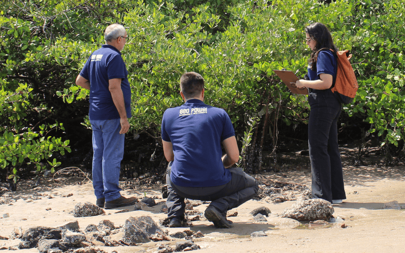 Profissional analisando solo